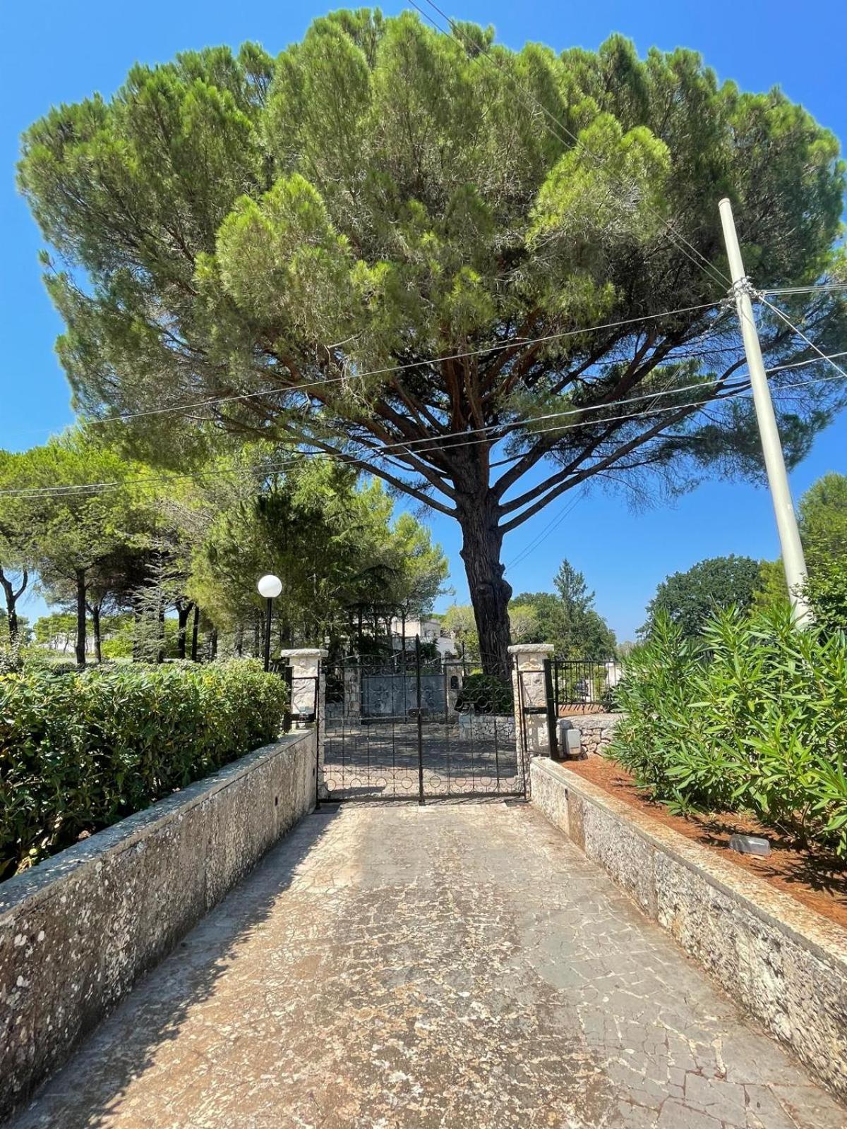 Villa Trimigliozzi Selva Di Fasano Exterior photo